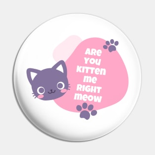 are you kitten me right meow Pin
