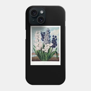 Hyacinths Phone Case