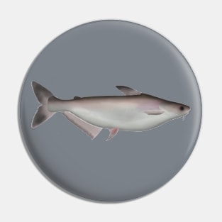 Iridescent Shark Pin