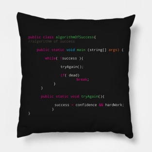 Source code to success - software sports wealth Pillow