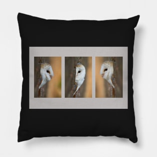 Barn Owl Triptych Pillow