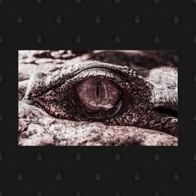 Alligator Eye Closeup by ZUCCACIYECIBO