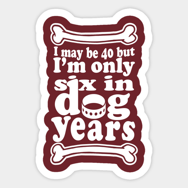 40 in dog years