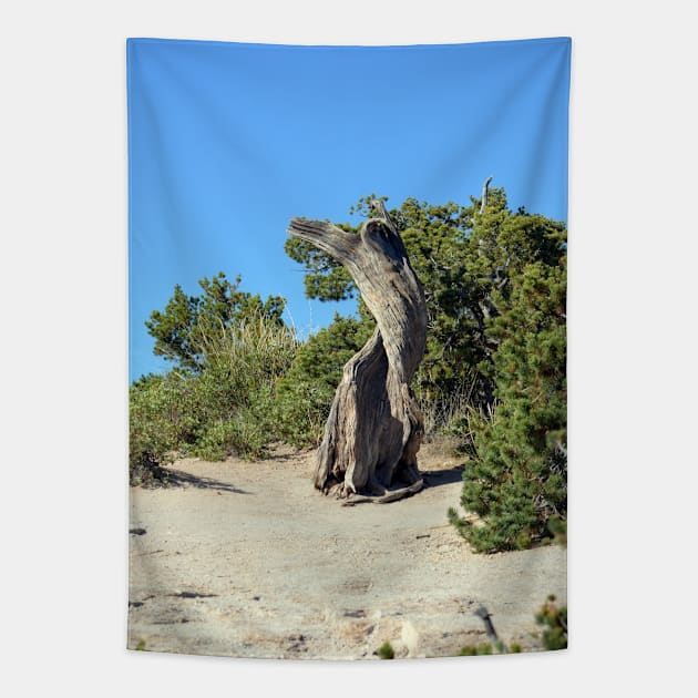 Twisted Tree Tapestry by Drgnfly4free