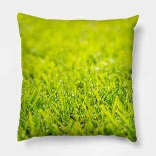 Dew Drops On Green Grass Pillow