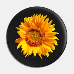 Real Sunflower Pattern for Summer/Autumn Fashion Pin