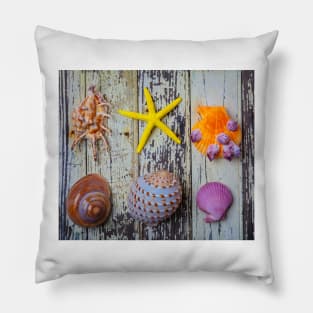 Seashells Number Two Pillow