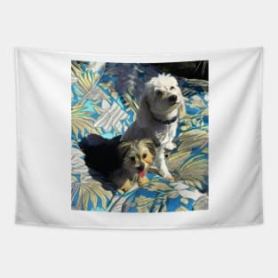 Pet Portraits, Pet Art, Dog Art, Pet home goods, Pet Products, Morkie tote bag, dogs stuff, morkie blanket, morkie bedding, morkie bath, morkie phone case Tapestry