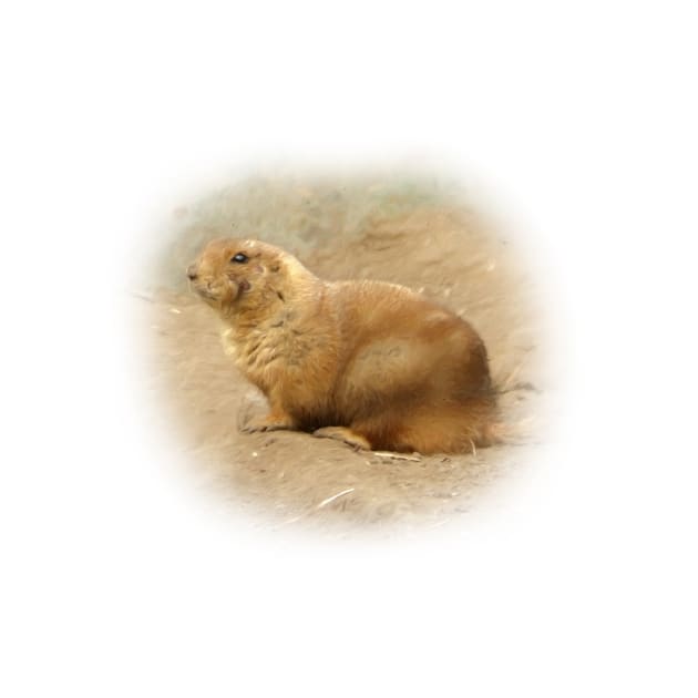 Prairie dog by Guardi