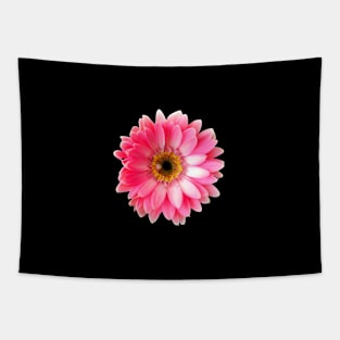 A Resplendent Gerbera Tapestry