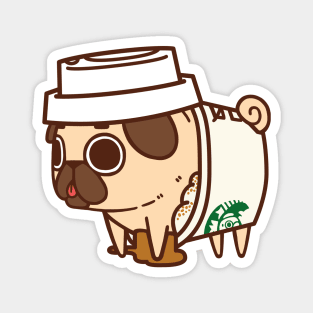 PSL Puglie Magnet