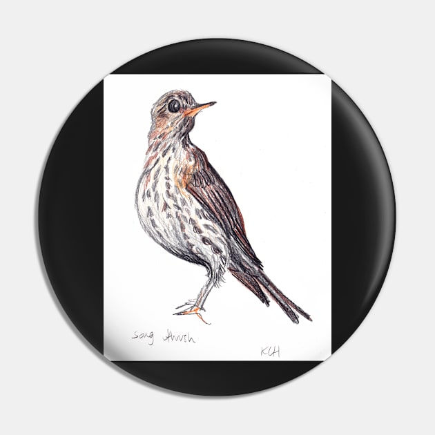 Song Thrush Pin by sadnettles