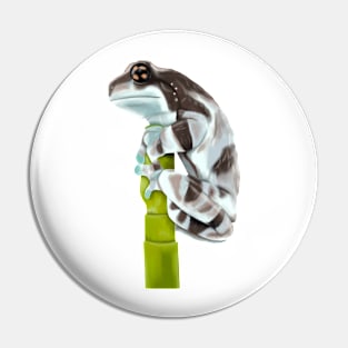 Milk Frog on Grass Stalk Pin