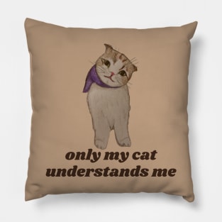 only my cat understands me Pillow