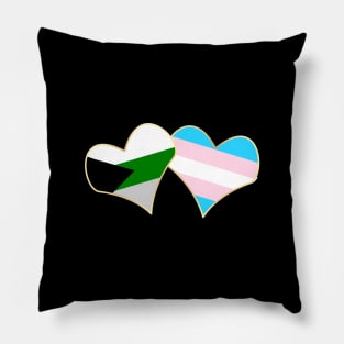 Gender and Sexuality Pillow