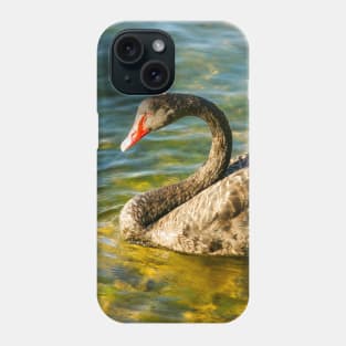 Black Swan, Perth, Western Australia Phone Case