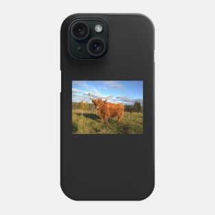 Scottish Highland Cattle Cow 1001 Phone Case