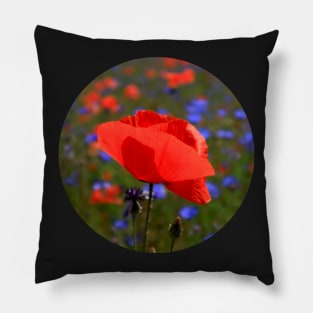 Beautiful Red Poppy Pillow