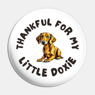 Thankful for my doxie Pin