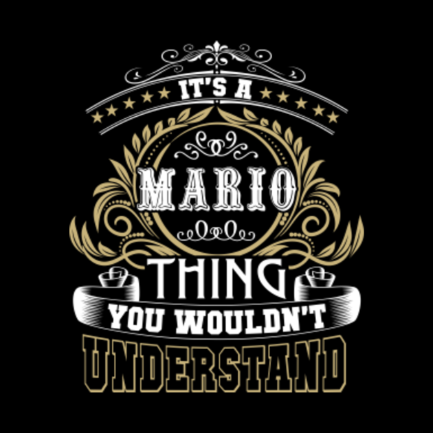 Family Name It's MARIO Thing Wouldn't Understand