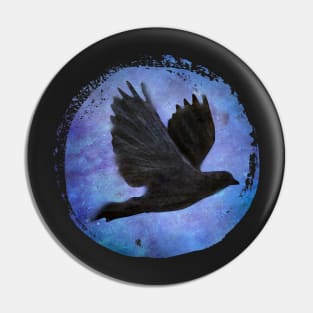 crow/raven in flight... soar Pin