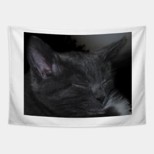 Cat Napping Tapestry