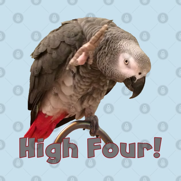 African Grey Parrot Waving High Four by Einstein Parrot