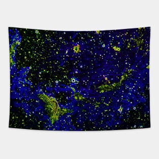 Black Panther Art - Glowing Edges 528 Tapestry