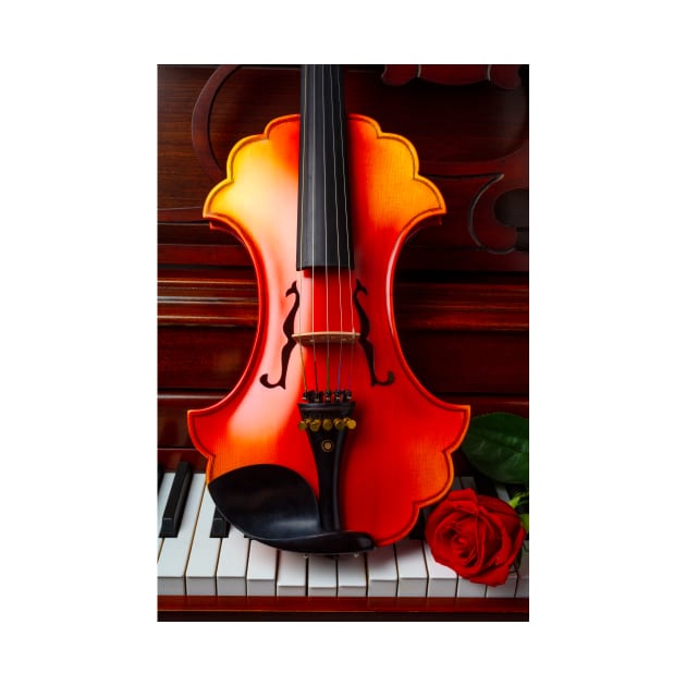 Red Rose With Baroque Violin by photogarry