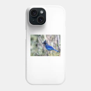 Brilliant Blue Bird The Stellar's Jay Phone Case