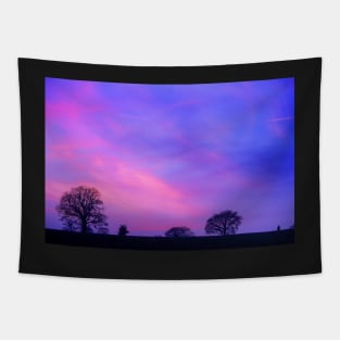 Purple Sunset Tapestry