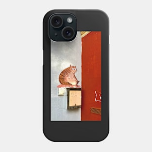 Сat on the wall Phone Case