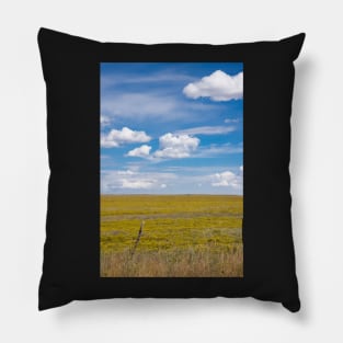 New Mexico landscape. Pillow