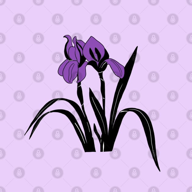 Purple Iris Flower by bloomingviolets