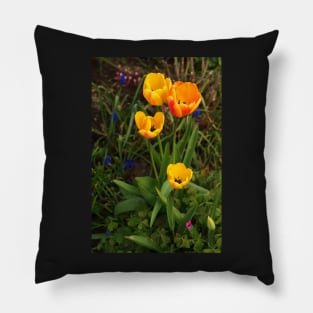 Tulips Pillow