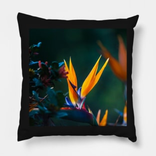 Bright Flowering Strelitzia Pillow