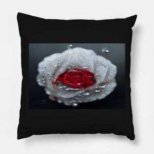 Red And White Rose With Raindrops, Macro Background, Close-up Pillow