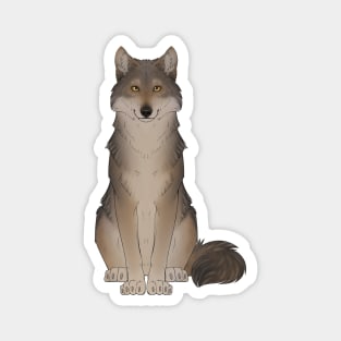 Mexican Wolf Magnet