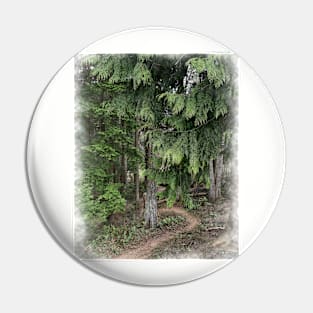 Hiking Trail Winding Through The Trees Pin