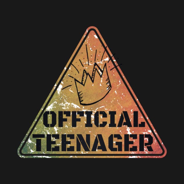 Warning Official Teenager 13th Birthday Gift Funny T-shirt by Grabitees