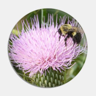 Bee on a Thistle Pin