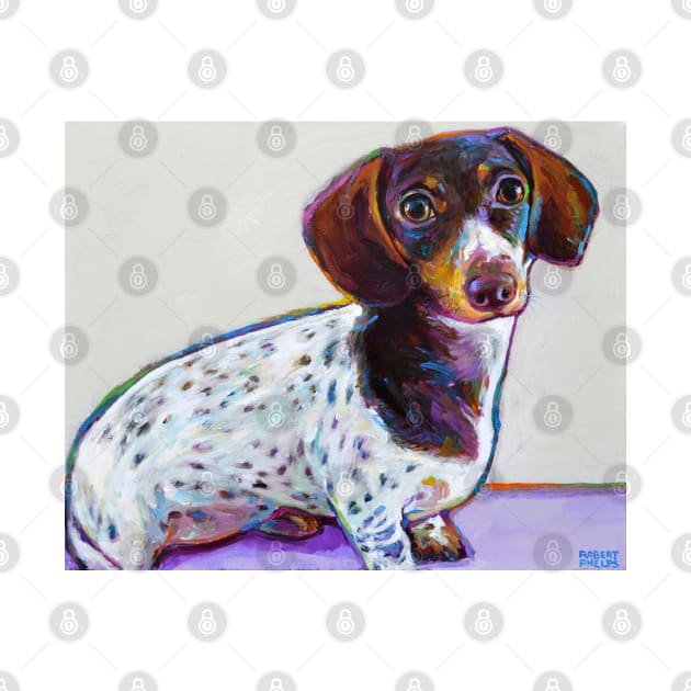 Buttercup the Adorable Dachshund by Robert Phelps by RobertPhelpsArt