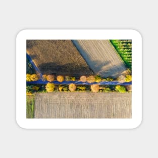 Aerial view of country road, autumn trees and ploughed field Magnet