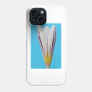 Crocus versicolor  &#39;Picturatus&#39; Phone Case