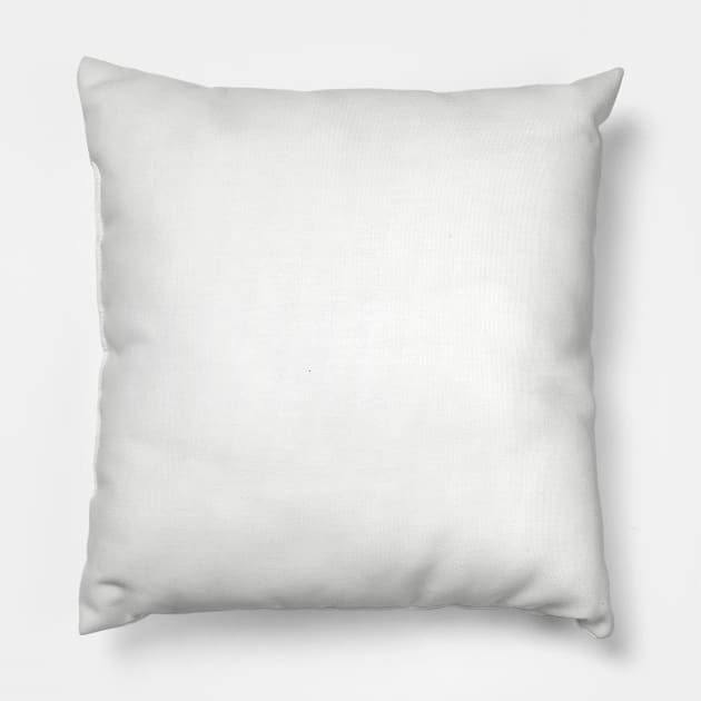 Oregon HOME Pillow by blueduckstuff