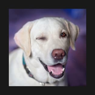 Winking Labrador Retriever T-Shirt