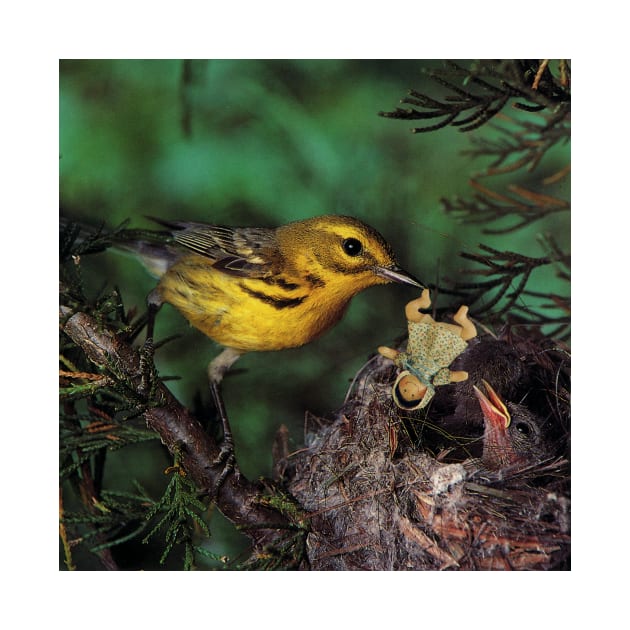 Baby Doll Feeding Time at the Birds Nest by studiogooz