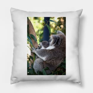 Baby Koala - Give Us A Kiss Mum Pillow