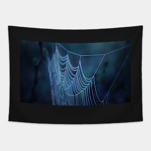 Dew Covered Spider Web Macro Tapestry