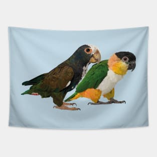 Caique and parrot Tapestry